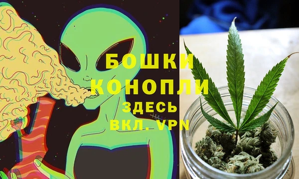 ГАЛЛЮЦИНОГЕННЫЕ ГРИБЫ Волосово