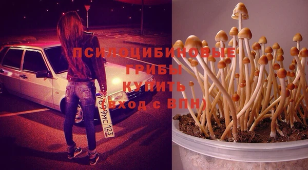 ГАЛЛЮЦИНОГЕННЫЕ ГРИБЫ Волосово